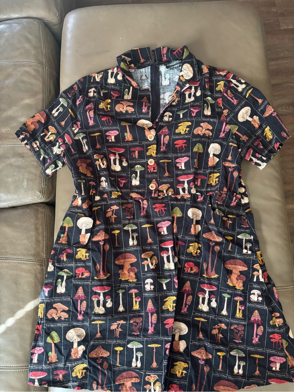 Mushroom fungus cottagecore dress with pockets size 20